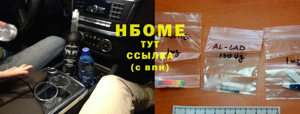прущий лед Алзамай