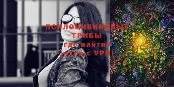 твердый Алексеевка