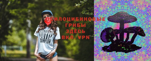 твердый Алексеевка