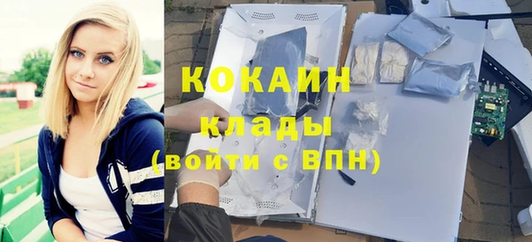 прущий лед Алзамай