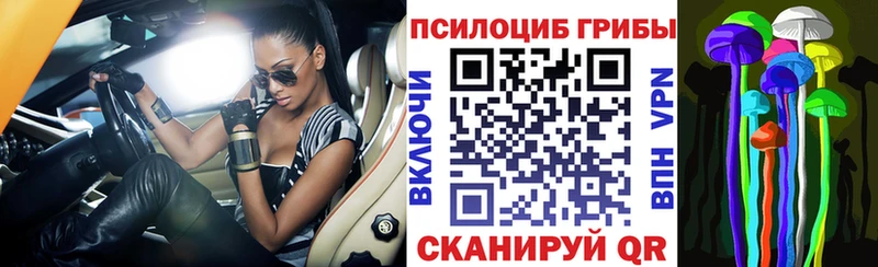 Псилоцибиновые грибы Magic Shrooms  Нововоронеж 